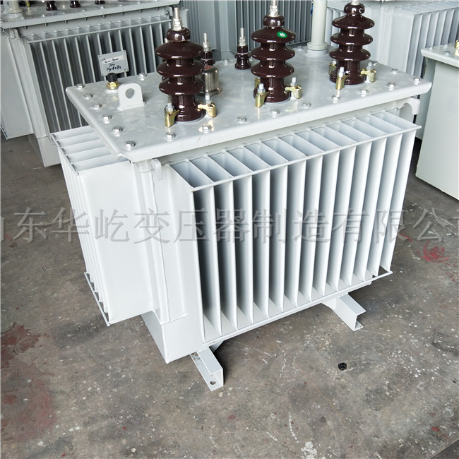 西藏S20-1000KVA油浸式电力变压器